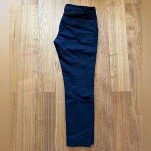 Express Columinst pant